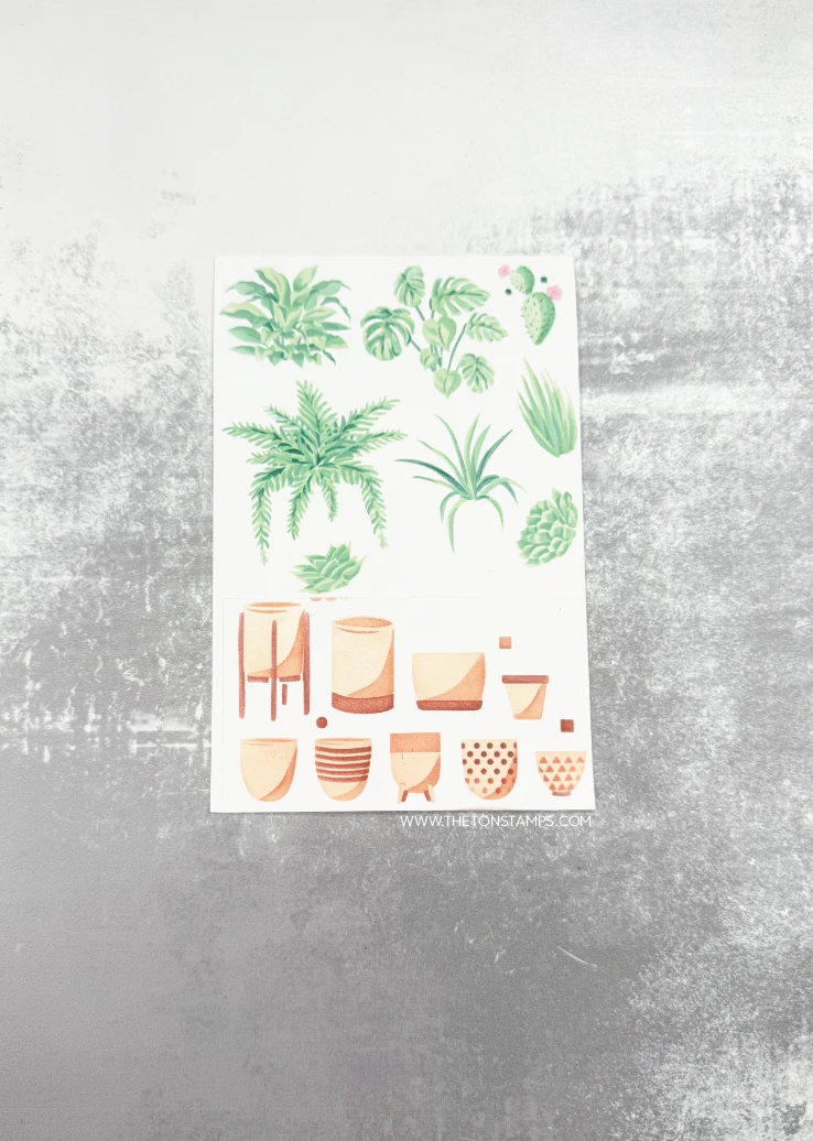 Wydanie sierpnia 2026: Wykrojn – Summer Clothing Release recenzja i cena